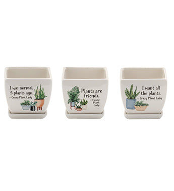 Three small square planters with humorous plant-themed text and illustrations on a white background.