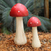 White and Red Mushrooms in Garden