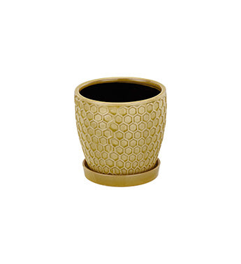 Yellow textured planter on a white background