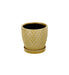 Yellow textured planter on a white background
