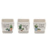 Three small square planters with humorous plant-themed text and illustrations on a white background.