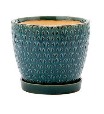 Teal textured planter on a white background