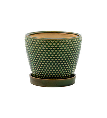 Green textured ceramic planter with matching saucer on a white background
