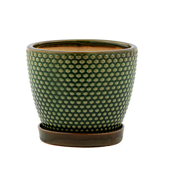 Green textured ceramic pot on a white background