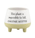White and yellow footed planter with text on a white background