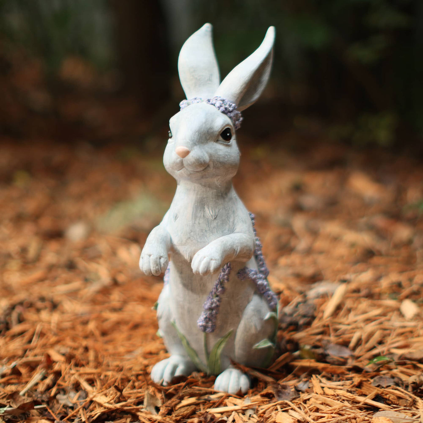 Standing Bunny in Garden