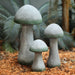 Gray Mushrooms in Garden