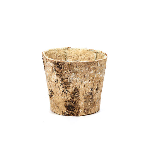 Birch bark planter on a white background