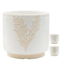 White planter with gold leaf design on a white background
